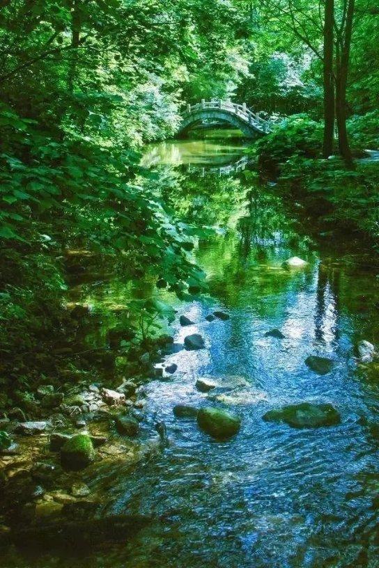 探寻天涯,畅谈大山的人思想未开化不离开大山为什么思想就很古板?问题交流